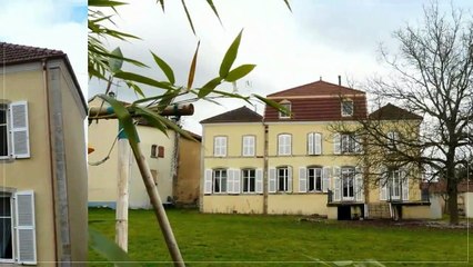 A vendre - Chateau - Rambervillers (88700) - 7 pièces - 210m²
