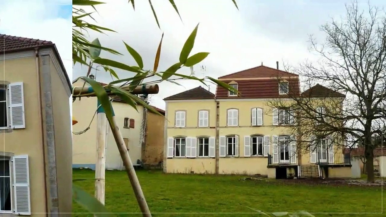 A vendre - Chateau - Rambervillers (88700) - 7 pièces - 210m²