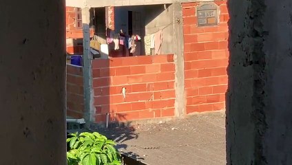 Ajudante de pedreiro faz filha refém e a nina com faca na mão