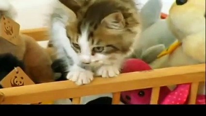 거창출장안마 -후불100%ョØ7ØE5180E1617｛카톡MAS91｝ 거창전지역출장안마 거창오피걸 거창출장마사지 거창안마 거창출장마사지 거창콜걸샵ニヌネ