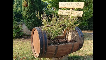 AKROCAP entre les vignes de st trojan et cylotourisme à cognac