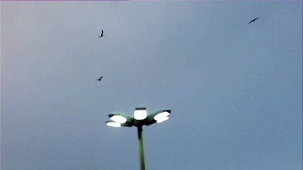 Naquela Noite Ele Sonhou com Um Mar Azul - Teaser I
