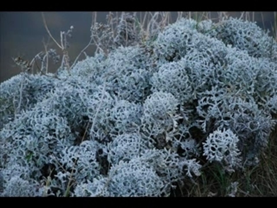 Peyriac de Mer - Aude