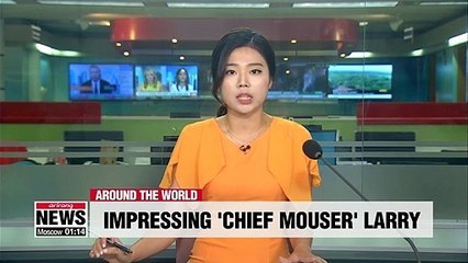 British PM Johnson looking to find dog that can get along with 'chief mouser' Larry