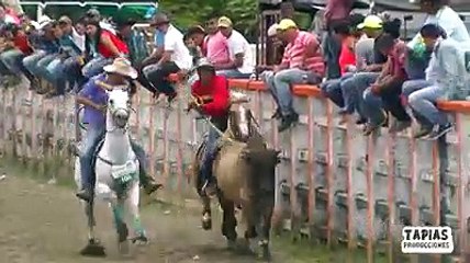 El coleo en Venezuela