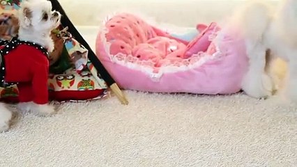 예산출장타이 OiOE7362E3210｛카톡BB5858｝ぱ예산출장안@마ぱ예산출장샵ぱ예산출장맛사지 ぱ예산출장걸썰 예산출장걸가격 예산출장러시아 예산외국인후불출장업소 예산24시출장마사지샵'예약パヒビ