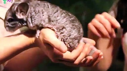 부평출장타이OiOE7362E3210｛카톡RQ43｝ぱ부평출장안@마ぱ부평출장샵ぱ부평출장맛사지 ぱ부평출장걸썰 부평출장걸가격 부평출장러시아 부평외국인후불출장업소 부평24시출장마사지샵'예약ぱひふ