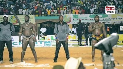 Omaïs Diagne : «La grosse erreur d’Eumeu Sène que Modou Lô a exploitée c’est d’avoir...»