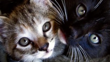 안성출장안마 -후불100%ョ Ø7ØE7575E0040｛카톡EM85｝ 안성전지역출장안마 안성오피걸 안성출장마사지 안성안마 안성출장마사지 안성콜걸샵ミムメ