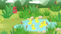 Five Little Ducks - Nursery Rhymes & Kids Songs With Lyrics