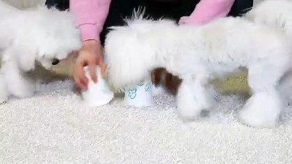 춘천출장안마 -후불100%ョØ1ØA2997A5327｛카톡KC789｝ 춘천전지역출장안마 춘천오피걸 춘천출장마사지 춘천안마 춘천출장마사지 춘천콜걸샵りるれ