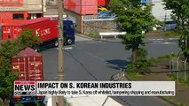 Many S. Korean industries could be targeted by Japan's widened export curbs