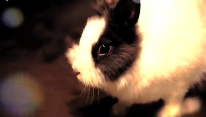 동탄출장타이O7OW7301W9649｛카톡MOK66}ぱ동탄출장안@마ぱ동탄출장샵ぱ동탄출장맛사지 ぱ동탄출장걸썰 동탄출장걸가격 동탄출장러시아 동탄외국인후불출장업소 동탄24시출장마사지샵'예약☜●♀