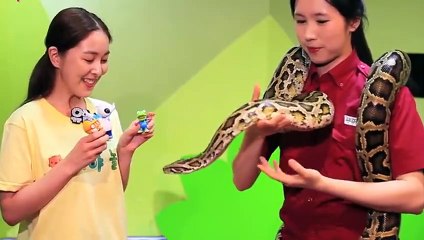 의창구출장안마 -후불100%ョØ7ØA7575A0069｛카톡CC6969｝ 의창구전지역출장안마 의창구오피걸 의창구출장마사지 의창구안마 의창구출장마사지 의창구콜걸샵ÞŦŊ