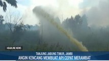 Puluhan Hektar Terbakar di Jambi