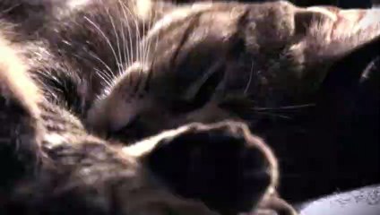 월미도출장안마 -후불100%ョO7OW7333W9649｛카톡VV23} 월미도전지역출장안마 월미도오피걸 월미도출장마사지 월미도안마 월미도출장마사지 월미도콜걸샵ミムメ