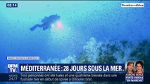 Après 28 jours passés au fond de la Méditerranée, cet équipe de chercheurs retrouve la surface