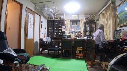 天井にいたらどのくらいでバレるの？【恐怖】