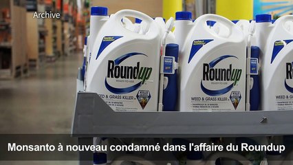 Monsanto reconnu coupable dans le procès Roundup