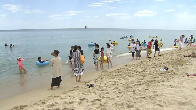 이번 주 피서 절정...동해안 해수욕장 북적 / YTN