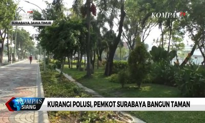 Kurangi Polusi Hingga 30%, Pemkot Surabaya Perbanyak Pembangunan Taman