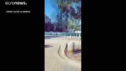 شاهد: هلع ورعب ودعاء عقب إطلاق للنار بمهرجان كاليفورنيا