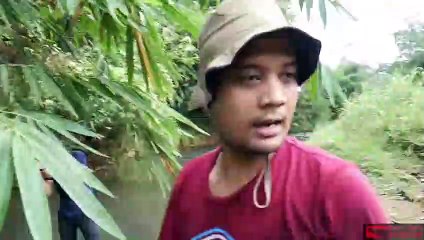 Trailer Kocak - Panji Petualang (Feat. Biawak, Komodo, King Cobra)