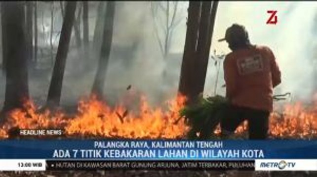Hari Ini Ada 7 Titik Kebakaran Lahan di Palangka Raya