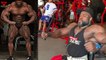 2019 Mr Olympia - 6.5 Weeks Out - 11 Contenders New Updates
