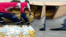 İstanbul Havalimanı'nda 1,2 ton pangolin pulu ele geçirildi - İSTANBUL
