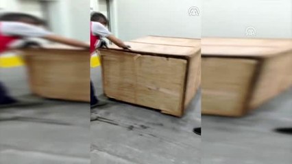 İstanbul Havalimanı'nda 1,2 ton pangolin pulu ele geçirildi