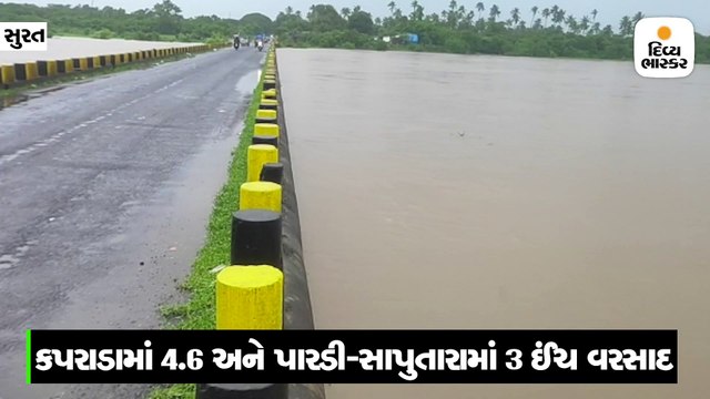 દક્ષિણ ગુજરાતના કપરાડામાં 4.6 અને પારડી-સાપુતારામાં 3 ઈંચ વરસાદ, નદીઓ બે કાંઠે