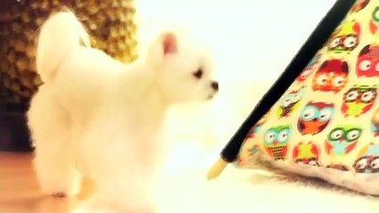 문경출장타이O7OW7333W9649｛카톡LGT010｝ぱ문경출장안@마ぱ문경출장샵ぱ문경출장맛사지 ぱ문경출장걸썰 문경출장걸가격 문경출장러시아 문경외국인후불출장업소 문경24시출장마사지샵'예약パヒビ