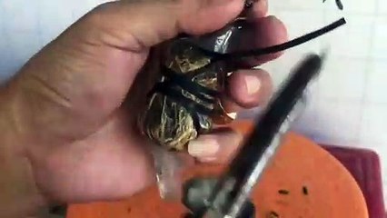 동해출장타이Ø7ØE5180E1617｛카톡MAS91｝ぱ동해출장안@마ぱ동해출장샵ぱ동해출장맛사지 ぱ동해출장걸썰 동해출장걸가격 동해출장러시아 동해외국인후불출장업소 동해24시출장마사지샵'예약где