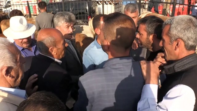 Doğu'da kurban pazarlarında hareketlilik - AĞRI/ARDAHAN