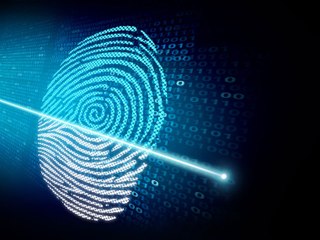 ¿Es cierto que los gemelos tienen la misma huella dactilar?