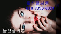 울산풀싸롱 울산풀 010-7395-6884