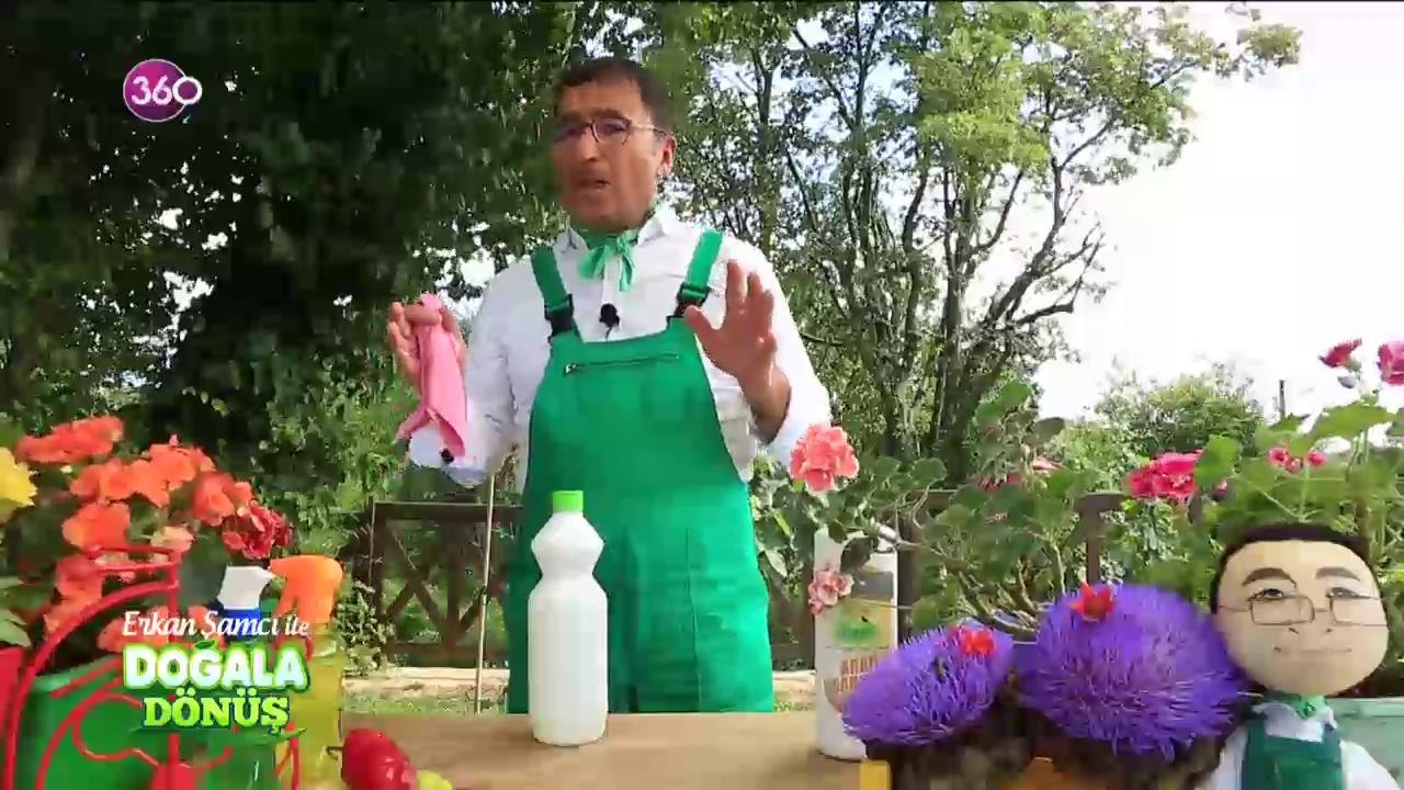 Doğala Dönüş
