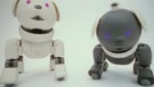 Chien robotisé