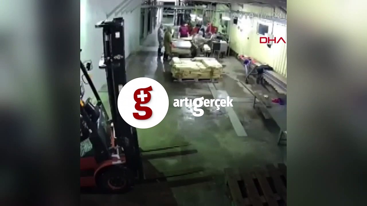 Fabrikaya giren ayı işçileri korkuttu