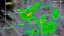 Biblical Swarms of Grasshoppers Descend on Las Vegas, So Many They’re Showing Up On Weather Radar