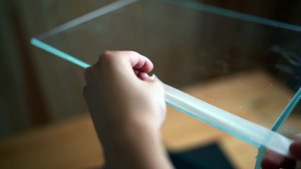 Making a Bamboo Forest