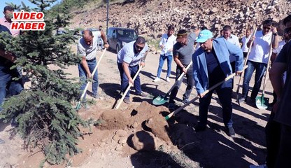(29 Temmuz 2019) TALAS’IN KAFECİLERİ ALİ DAĞI'NDA FİDAN DİKTİ