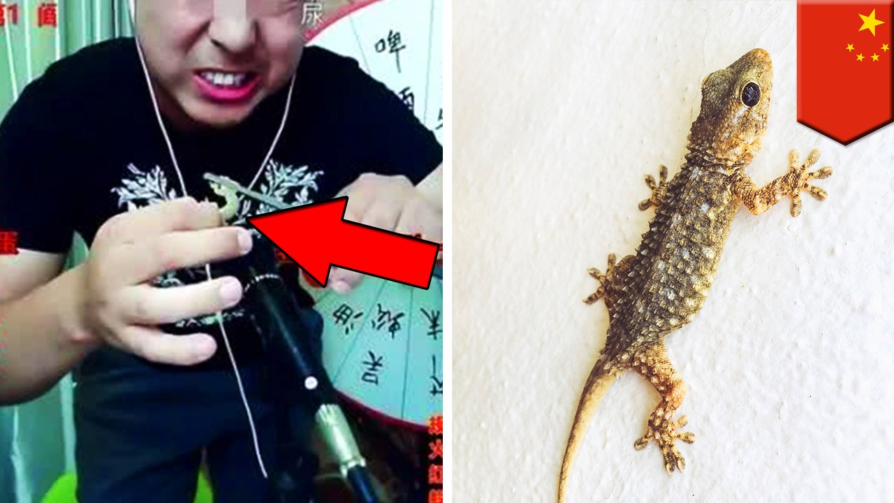 網紅拚圈粉喝白酒配蜈蚣 直播中不幸喪命