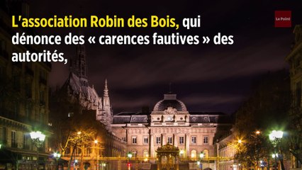 Plomb autour de Notre-Dame : une association porte plainte contre X