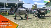 L'Avenir- L'impressionnant concours de traction chevaline à la Foire de Libramont