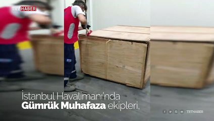 İstanbul Havalimanı'nda 1,2 ton pangolin pulu ele geçirildi