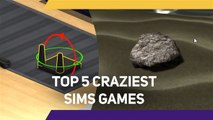 5 Craziest Sims