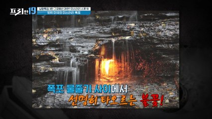 미국의 미스터리 폭포 [납량특집 3탄 그곳에선 과연? 미스터리 스폿 19]