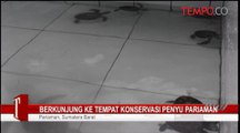 Berkunjung-ke-Tempat-Konservasi-Penyu-Pariaman.flv